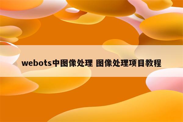 webots中图像处理 图像处理项目教程