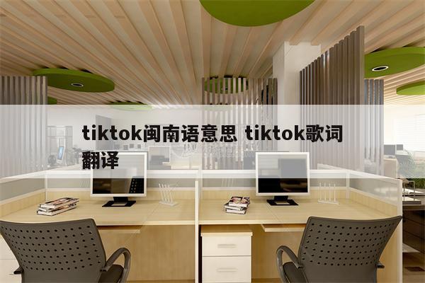 tiktok闽南语意思 tiktok歌词翻译