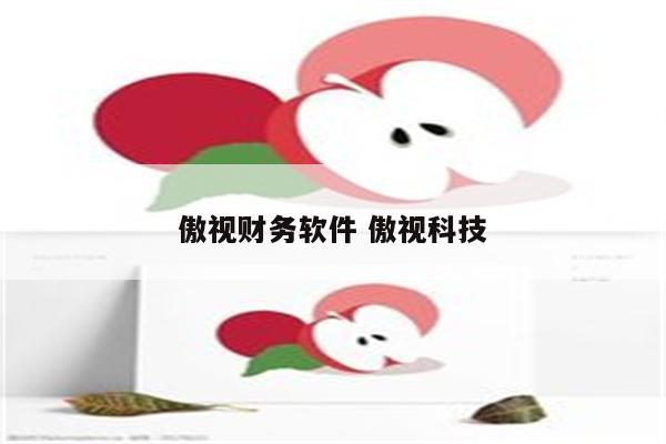 傲视财务软件 傲视科技