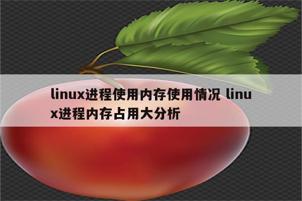 linux进程使用内存使用情况 linux进程内存占用大分析