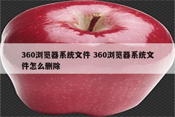 360浏览器系统文件 360浏览器系统文件怎么删除