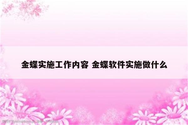 金蝶实施工作内容 金蝶软件实施做什么