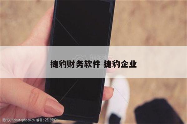 捷豹财务软件 捷豹企业