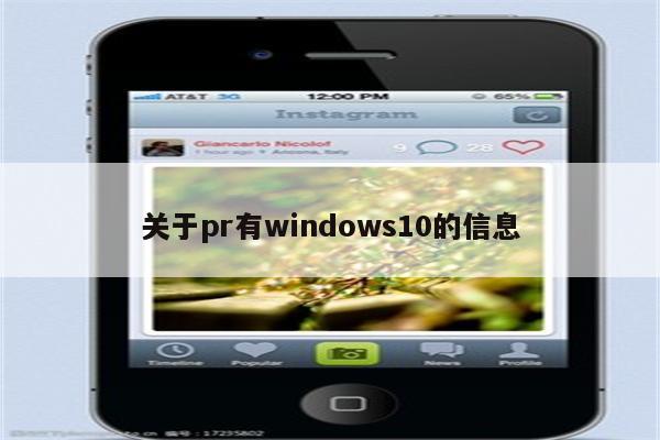 关于pr有windows10的信息