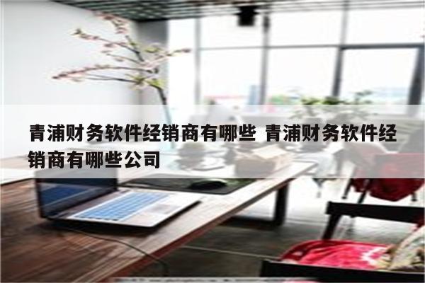 青浦财务软件经销商有哪些 青浦财务软件经销商有哪些公司