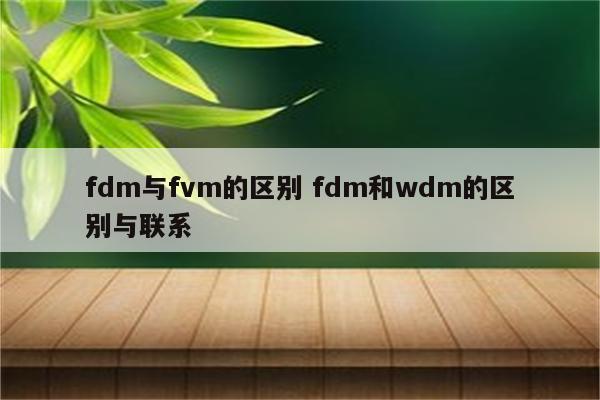 fdm与fvm的区别 fdm和wdm的区别与联系