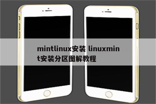 mintlinux安装 linuxmint安装分区图解教程