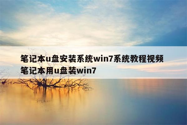 笔记本u盘安装系统win7系统教程视频 笔记本用u盘装win7