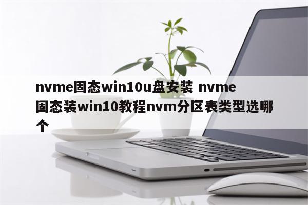 nvme固态win10u盘安装 nvme固态装win10教程nvm分区表类型选哪个