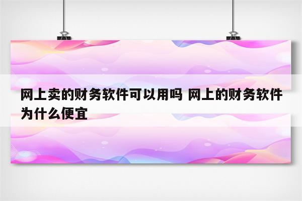 网上卖的财务软件可以用吗 网上的财务软件为什么便宜