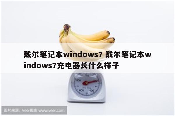 戴尔笔记本windows7 戴尔笔记本windows7充电器长什么样子