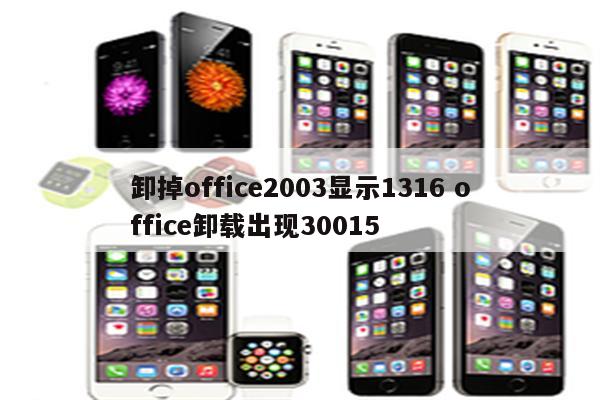 卸掉office2003显示1316 office卸载出现30015