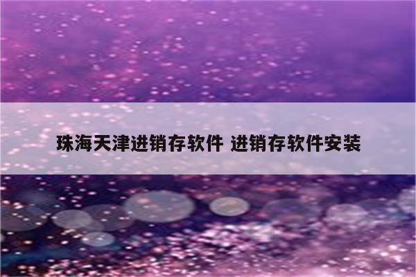 珠海天津进销存软件 进销存软件安装