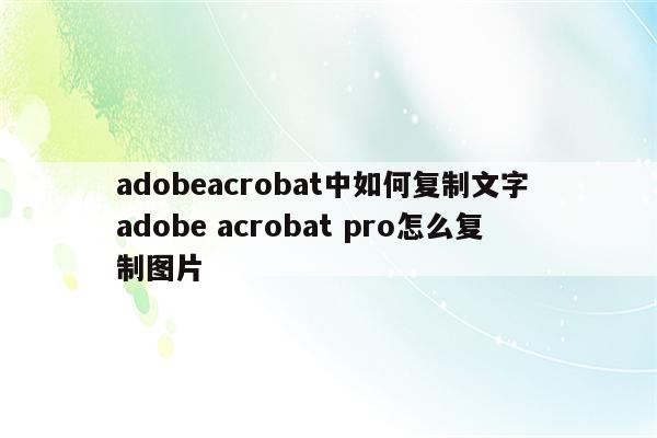 adobeacrobat中如何复制文字 adobe acrobat pro怎么复制图片