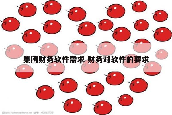 集团财务软件需求 财务对软件的要求