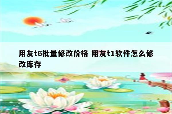 用友t6批量修改价格 用友t1软件怎么修改库存