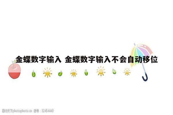 金蝶数字输入 金蝶数字输入不会自动移位