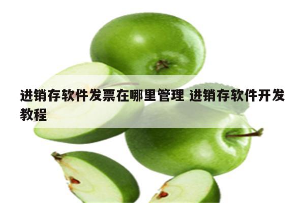 进销存软件发票在哪里管理 进销存软件开发教程