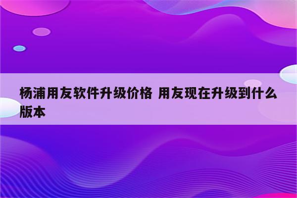杨浦用友软件升级价格 用友现在升级到什么版本