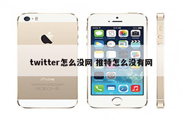 twitter怎么没网 推特怎么没有网