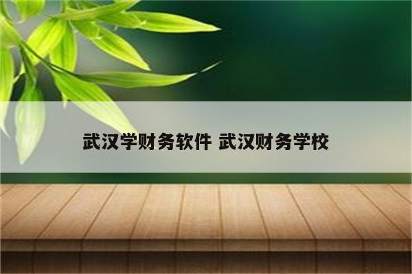 武汉学财务软件 武汉财务学校
