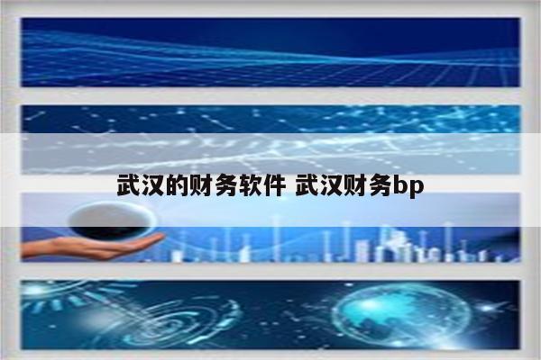 武汉的财务软件 武汉财务bp