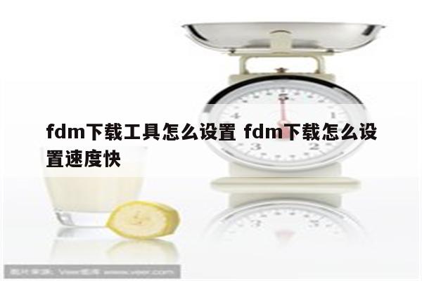 fdm下载工具怎么设置 fdm下载怎么设置速度快