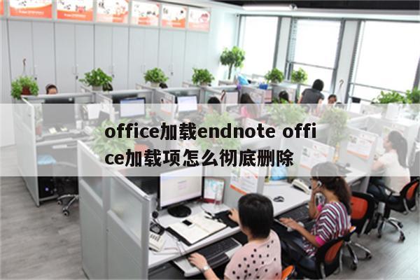 office加载endnote office加载项怎么彻底删除