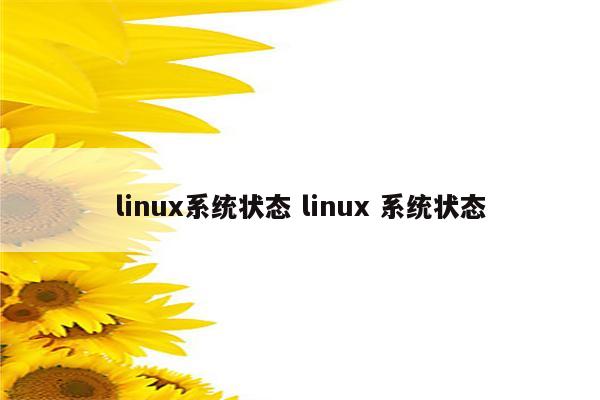 linux系统状态 linux 系统状态