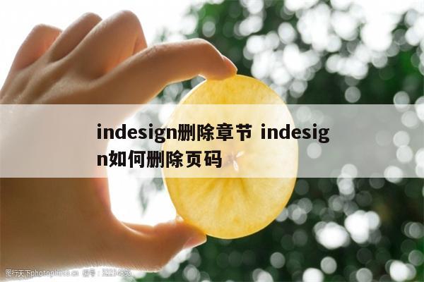 indesign删除章节 indesign如何删除页码