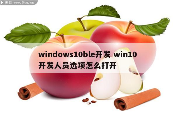 windows10ble开发 win10开发人员选项怎么打开