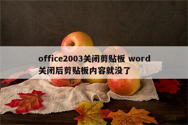 office2003关闭剪贴板 word关闭后剪贴板内容就没了