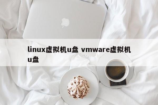 linux虚拟机u盘 vmware虚拟机u盘