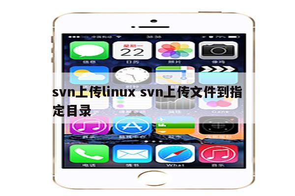 svn上传linux svn上传文件到指定目录