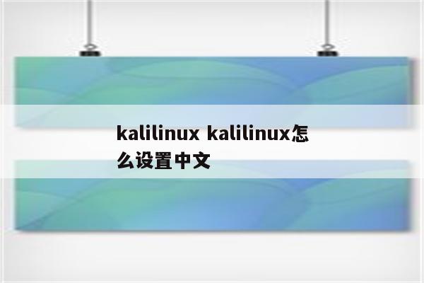 kalilinux kalilinux怎么设置中文