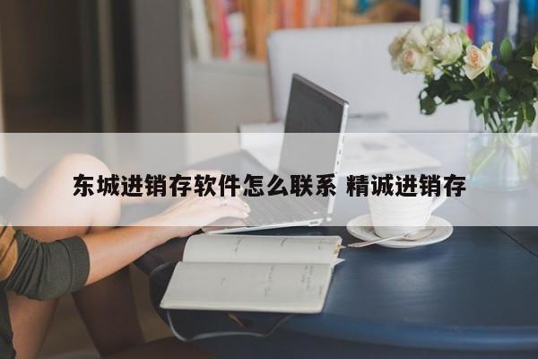 东城进销存软件怎么联系 精诚进销存