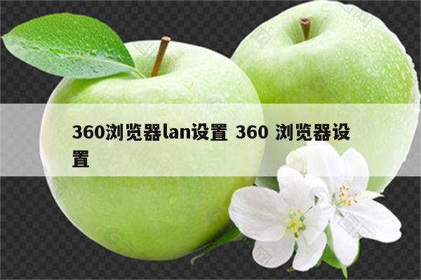 360浏览器lan设置 360 浏览器设置