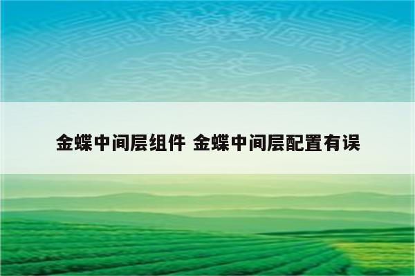 金蝶中间层组件 金蝶中间层配置有误
