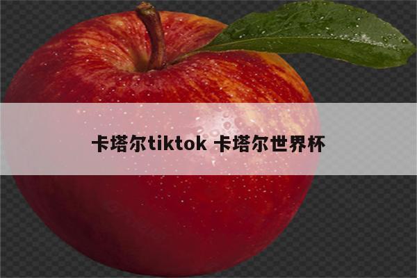 卡塔尔tiktok 卡塔尔世界杯