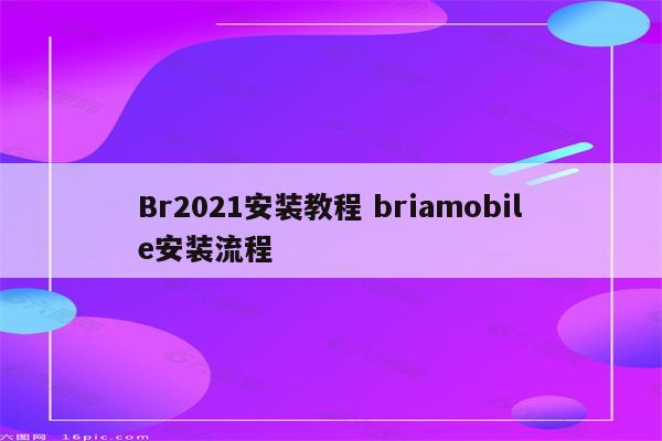 Br2021安装教程 briamobile安装流程