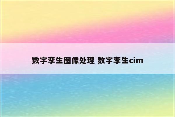 数字孪生图像处理 数字孪生cim