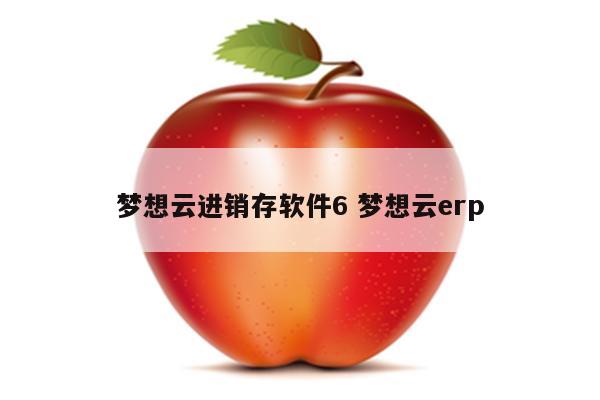 梦想云进销存软件6 梦想云erp