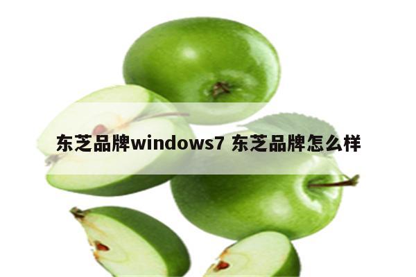 东芝品牌windows7 东芝品牌怎么样