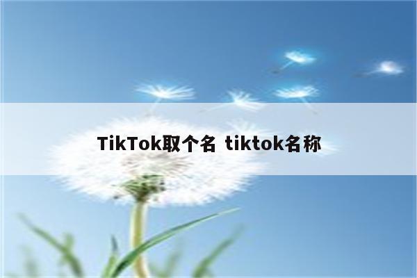 TikTok取个名 tiktok名称