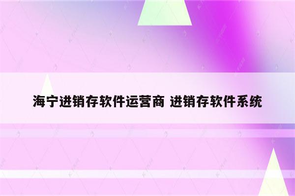 海宁进销存软件运营商 进销存软件系统