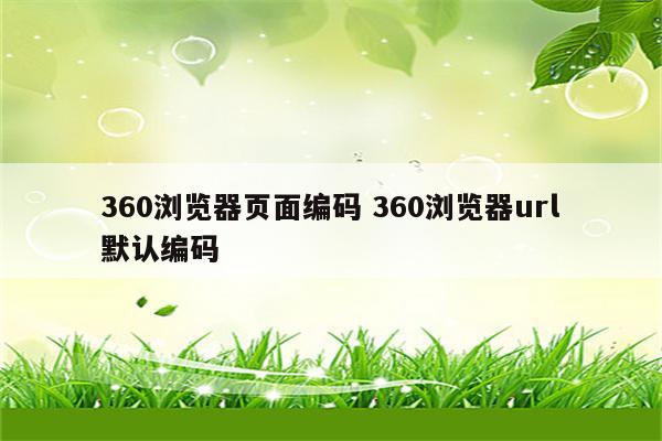 360浏览器页面编码 360浏览器url默认编码