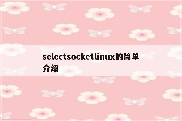 selectsocketlinux的简单介绍