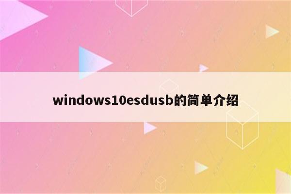 windows10esdusb的简单介绍