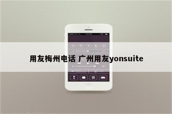 用友梅州电话 广州用友yonsuite