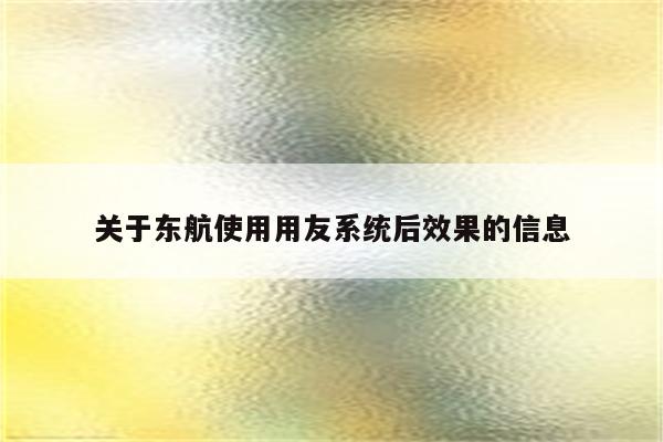 关于东航使用用友系统后效果的信息